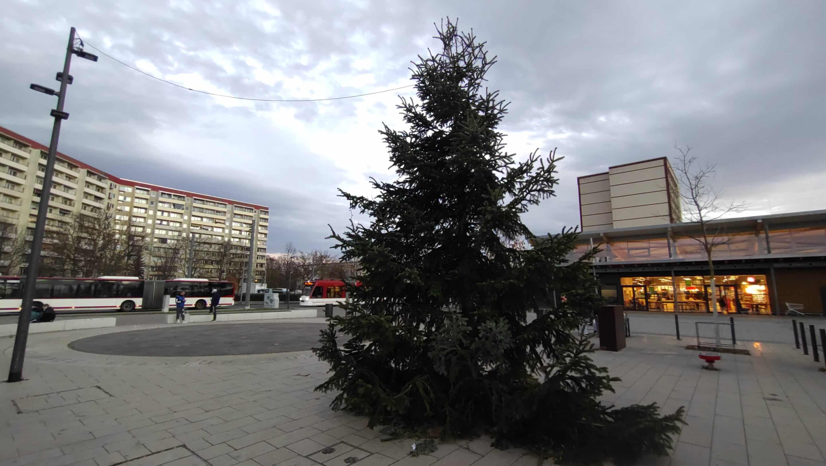 Ein Weihnachtsbaum am Platz der Völkerfreundschaft im Rieth Erfurt Nord.