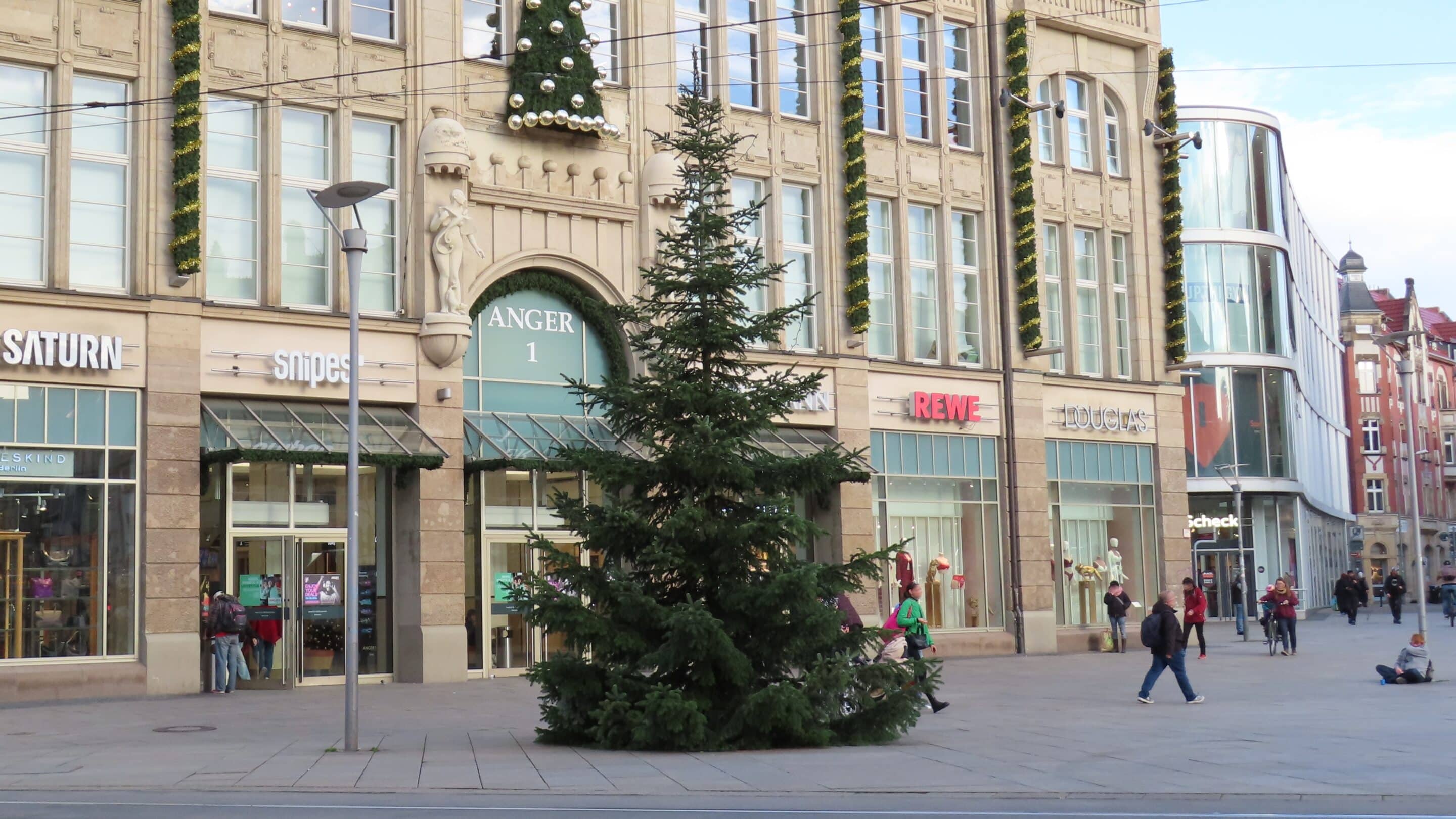 Der Weihnachtsbaum auf dem Anger in Erfurt vor dem Kaufhaus Anger 1.