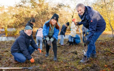 Erfurter Schüler pflanzen Miniwald im egapark