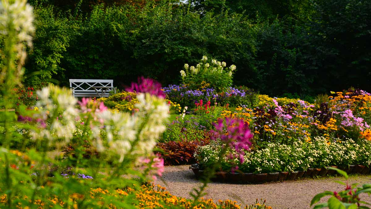 bschloss kochberg blumenrabatte_erfurt