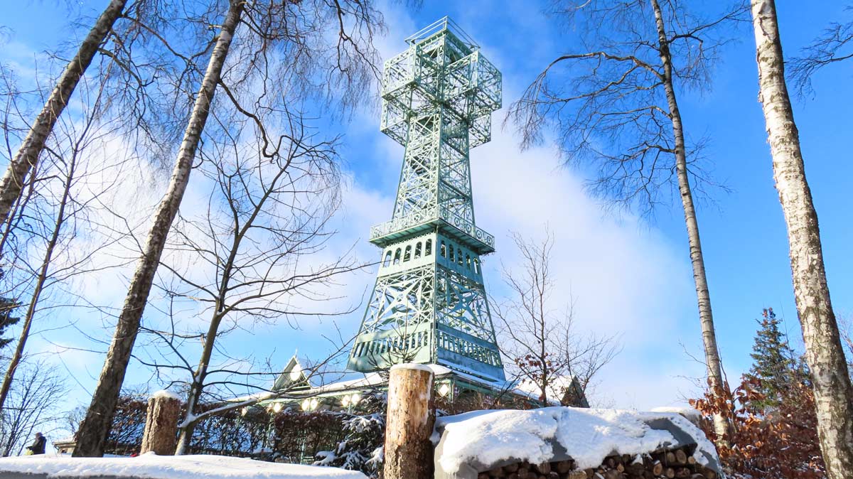 Das Jahr 2025 mit „Ich liebe Erfurt“ – Ein Rückblick erster Teil 4 Das Jahr 2025 mit „Ich liebe Erfurt“ – Ein Rückblick erster Teil josephskreuz harz_erfurt