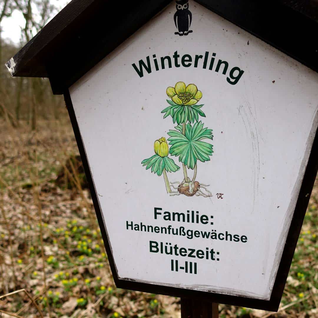 winterling schild instag_erfurt