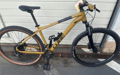 LPI-EF: Goldfarbenes Fahrrad sucht seine Besitzer