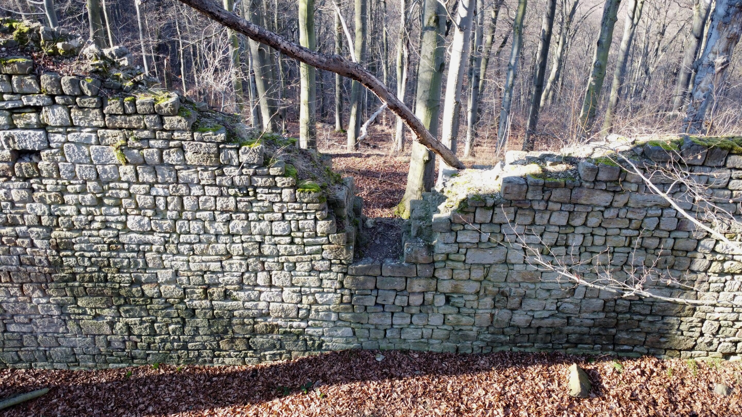 Die Reste einer Mauer der Burg Rabenswalde auf der Hohen Schrecke im Thüringer Kyffhäuserkreis.