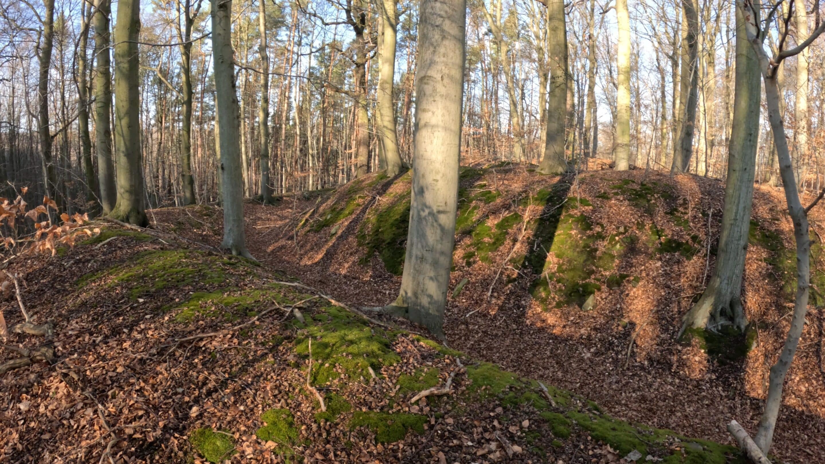 Der äußere Wallgraben der Burg Rabenswalde bei Garnbach in der Nähe von Wiehe im Bundesland Thüringen.