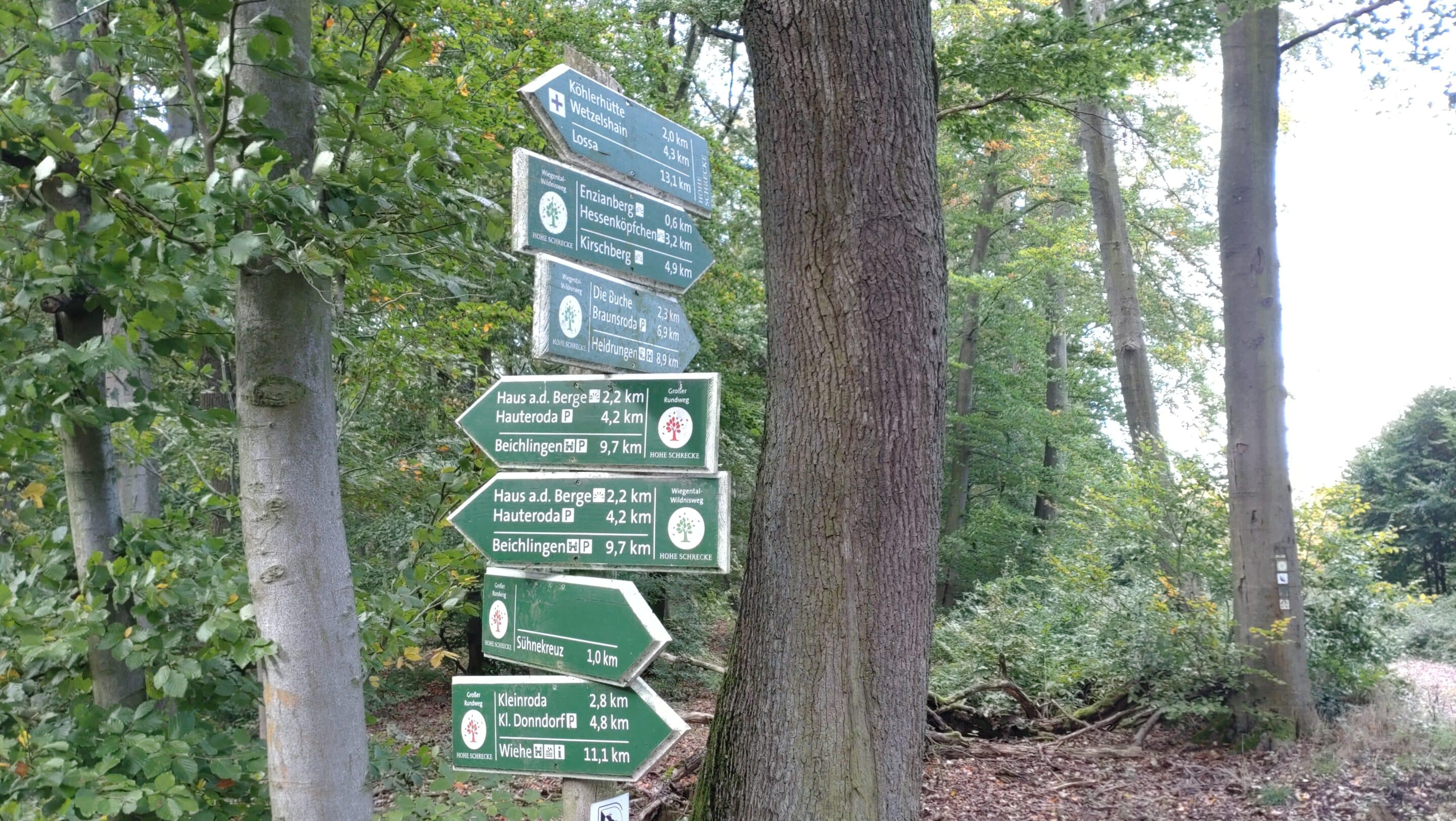 Ein Wegweiser auf der Hohen Schrecke im Norden von Thüringen zeigt Orte und Enfernungen an.