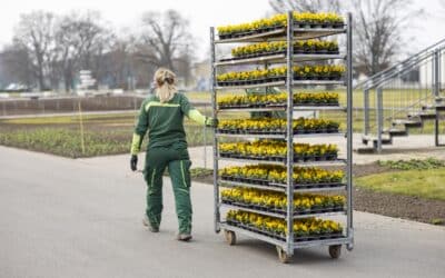 Frühling hält mit 160.000 Blumen Einzug im egapark