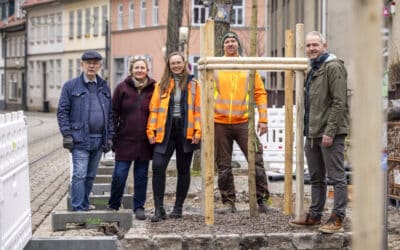 Neue Bäume für Erfurt
