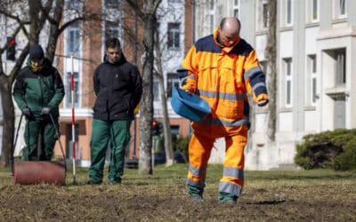 Mehr Blühwiesen für eine artenreiche Stadt