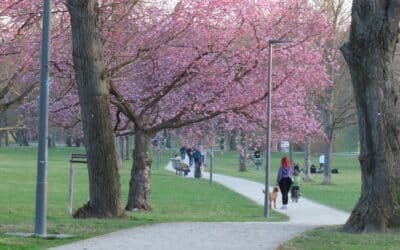Auseinandersetzung in Erfurter Park