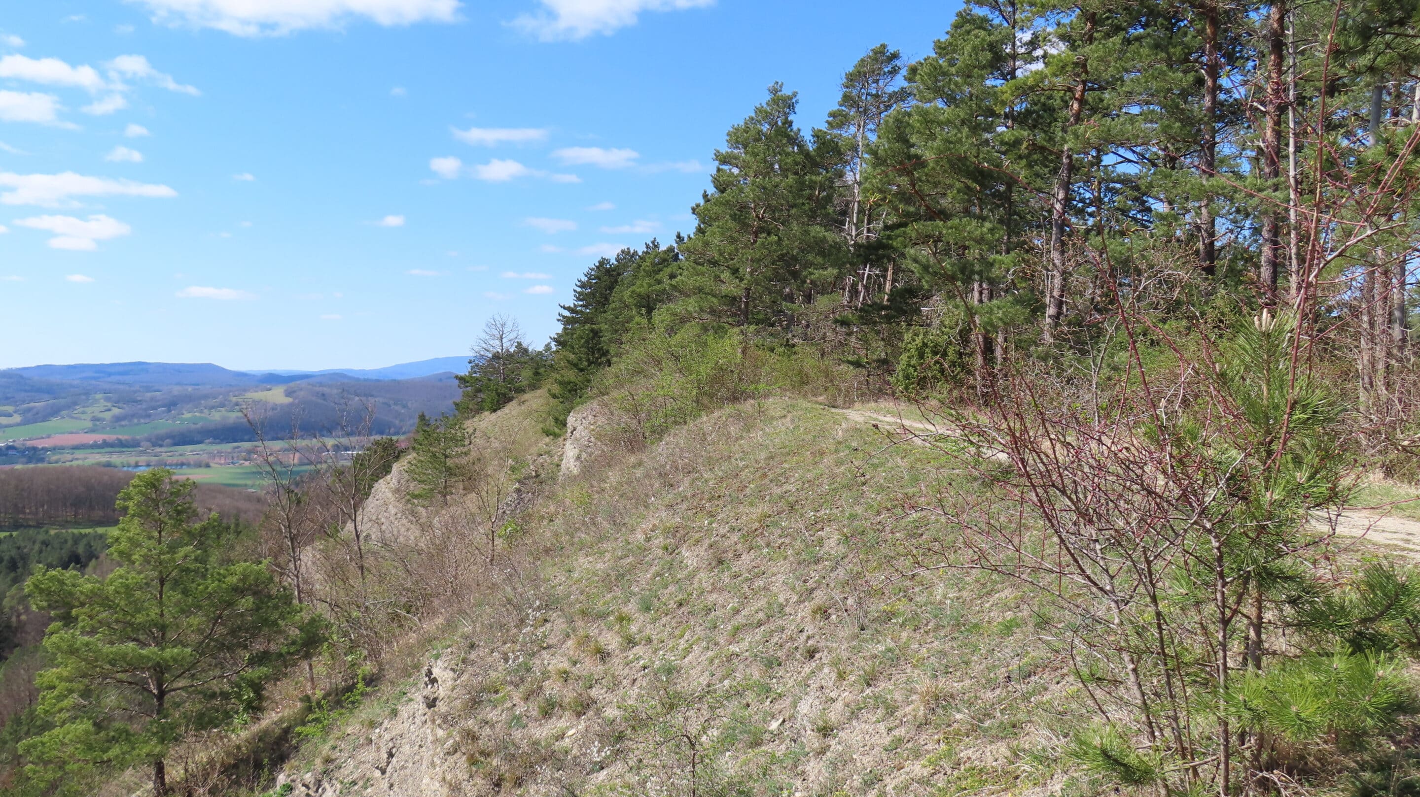 Der Weg zur Adolfsburg oberhalb von Treffurt an der Werra.