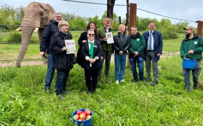 Tierpatentreffen mit Kibo und Banjoko