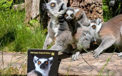 Neuer Zooführer des Zooparks Erfurt erschienen