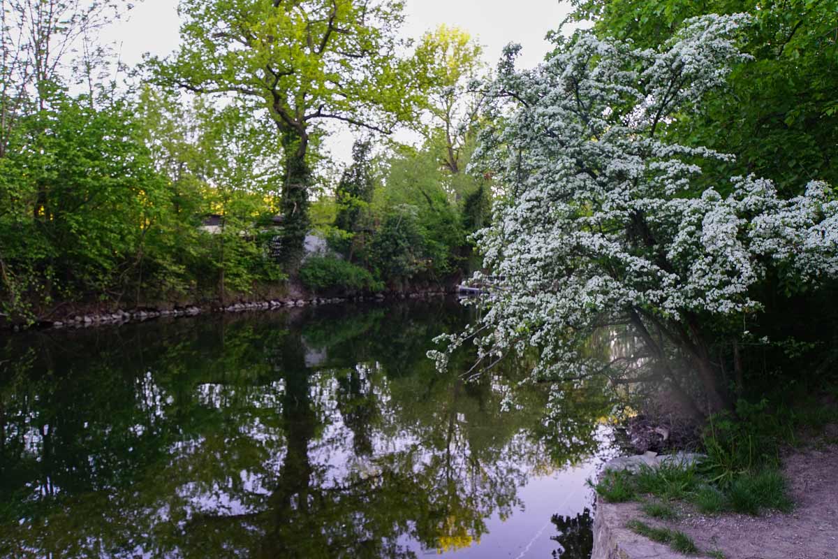 gera-dreibrunnen-erfurt gera dreibrunnen erfurt_erfurt