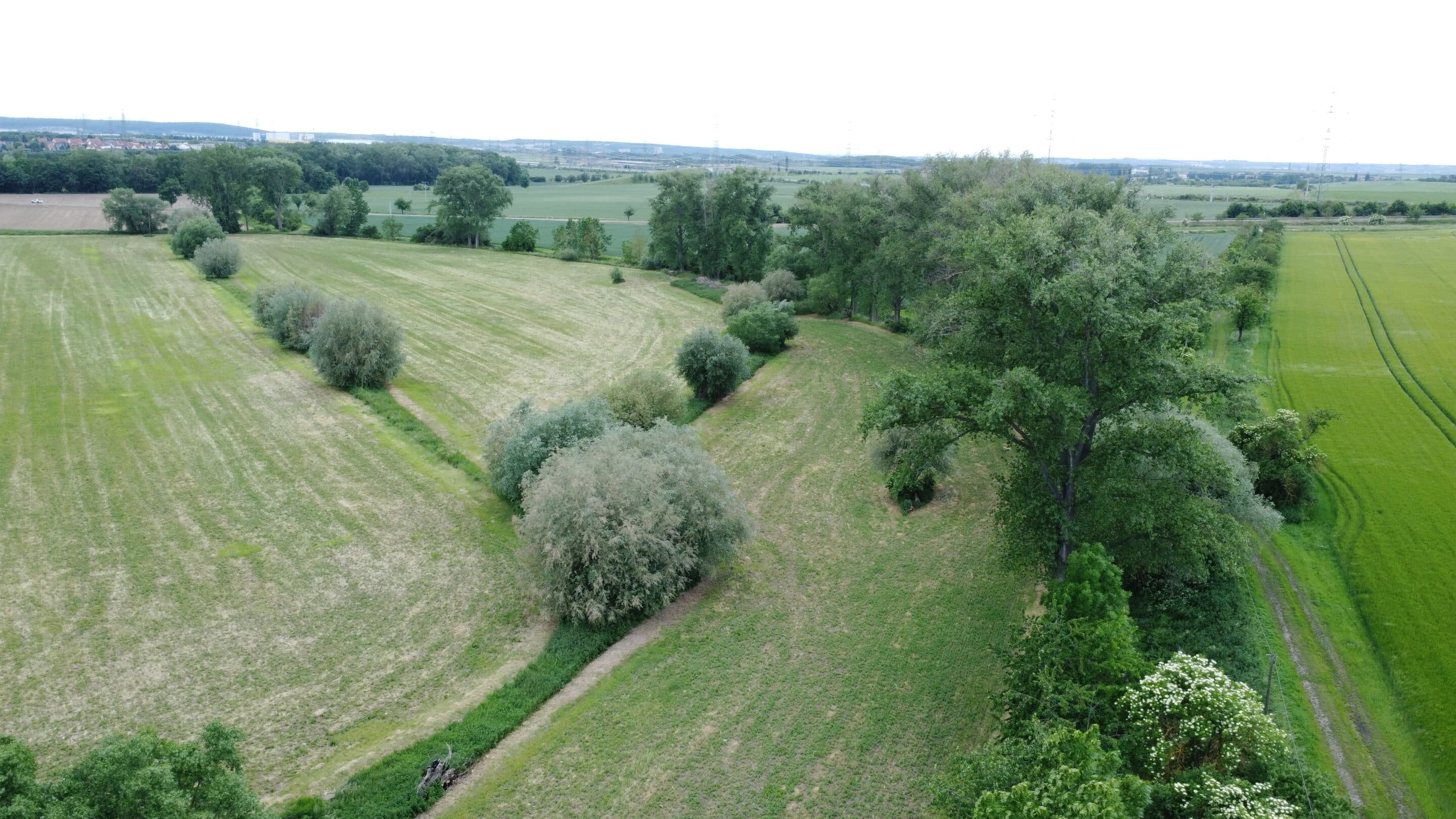 Lauf des Vieselbachs vor Wallichen Der Lauf des Vieselbachs in einer Auenlandschft zwischen Vieselbach und Wallichen.