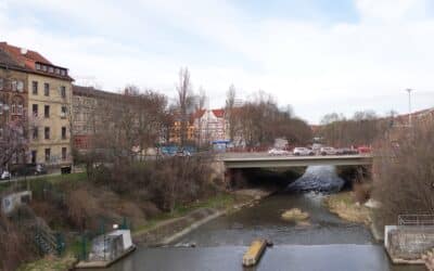 Randalierer beschädigt Fahrzeuge