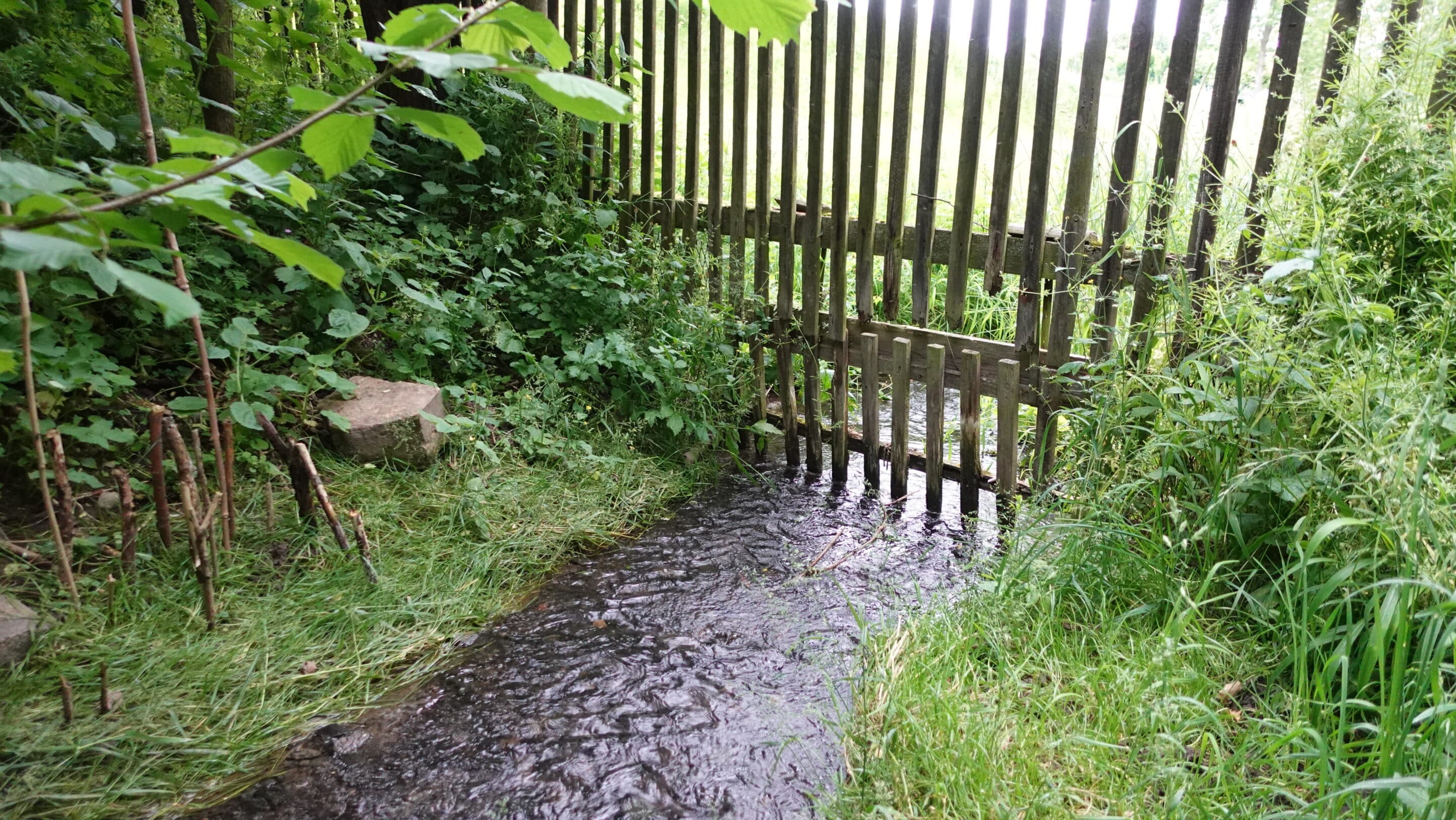 Vieselbach mit Zaun Der Vieselbach durchfließt vor Hochstedt einen Zaun.