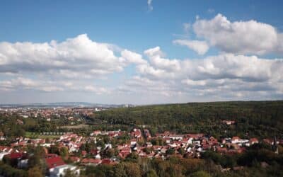 Einbruch in Gärtnerei