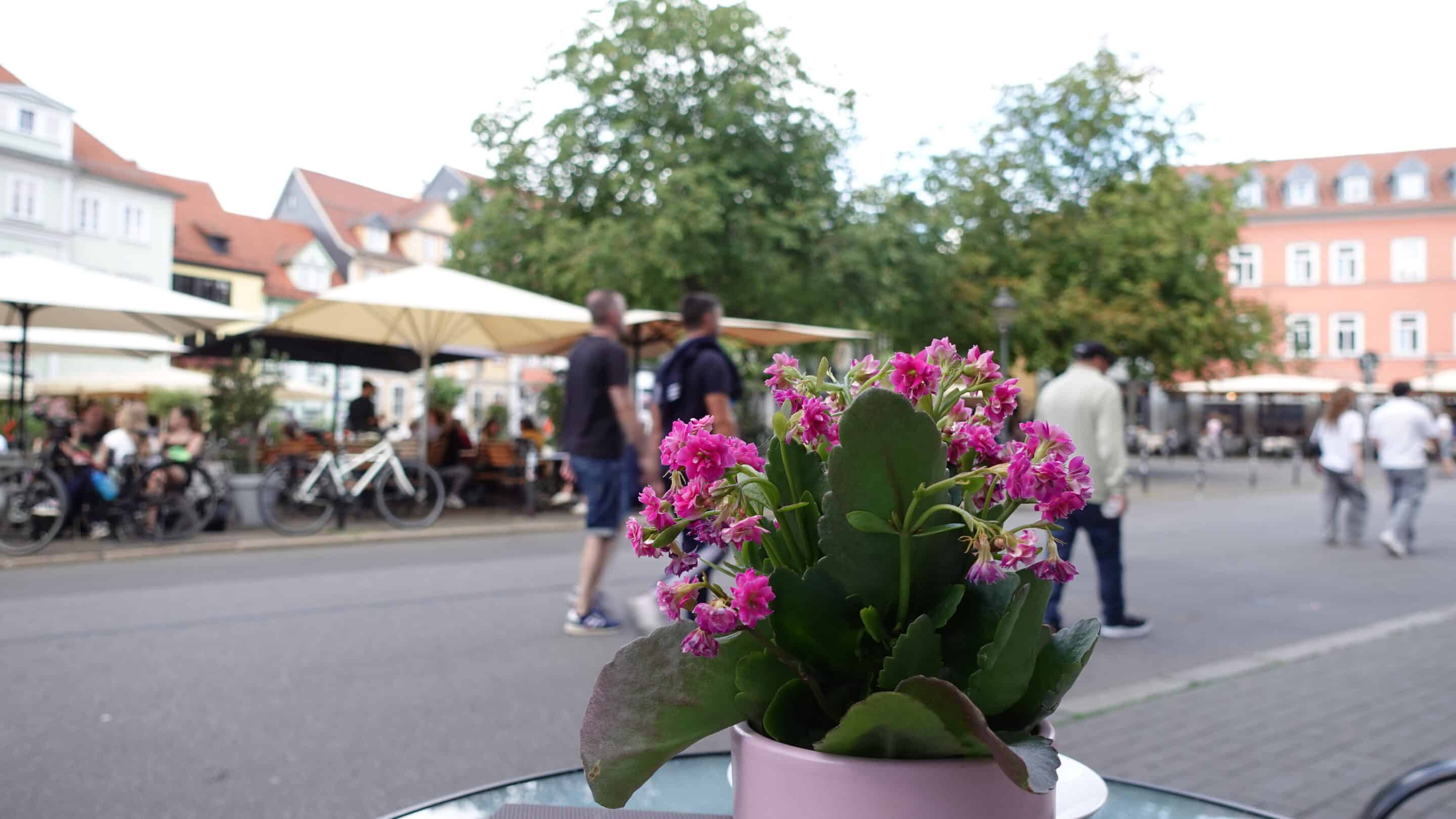 Menschen und Gastronomie am Wenigemarkt in der Erfurter Altstadt Menschen und Gastronomie treffen am Wenigemarkt in der Erfurter Altstadt aufeinander.