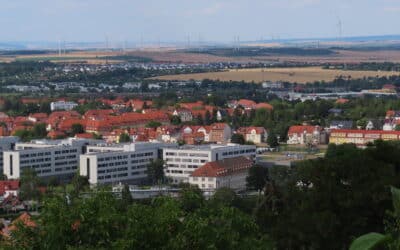 Grünpflanzen gestohlen