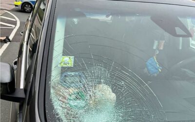 Pedelec-Fahrer bei Verkehrsunfall schwer verletzt