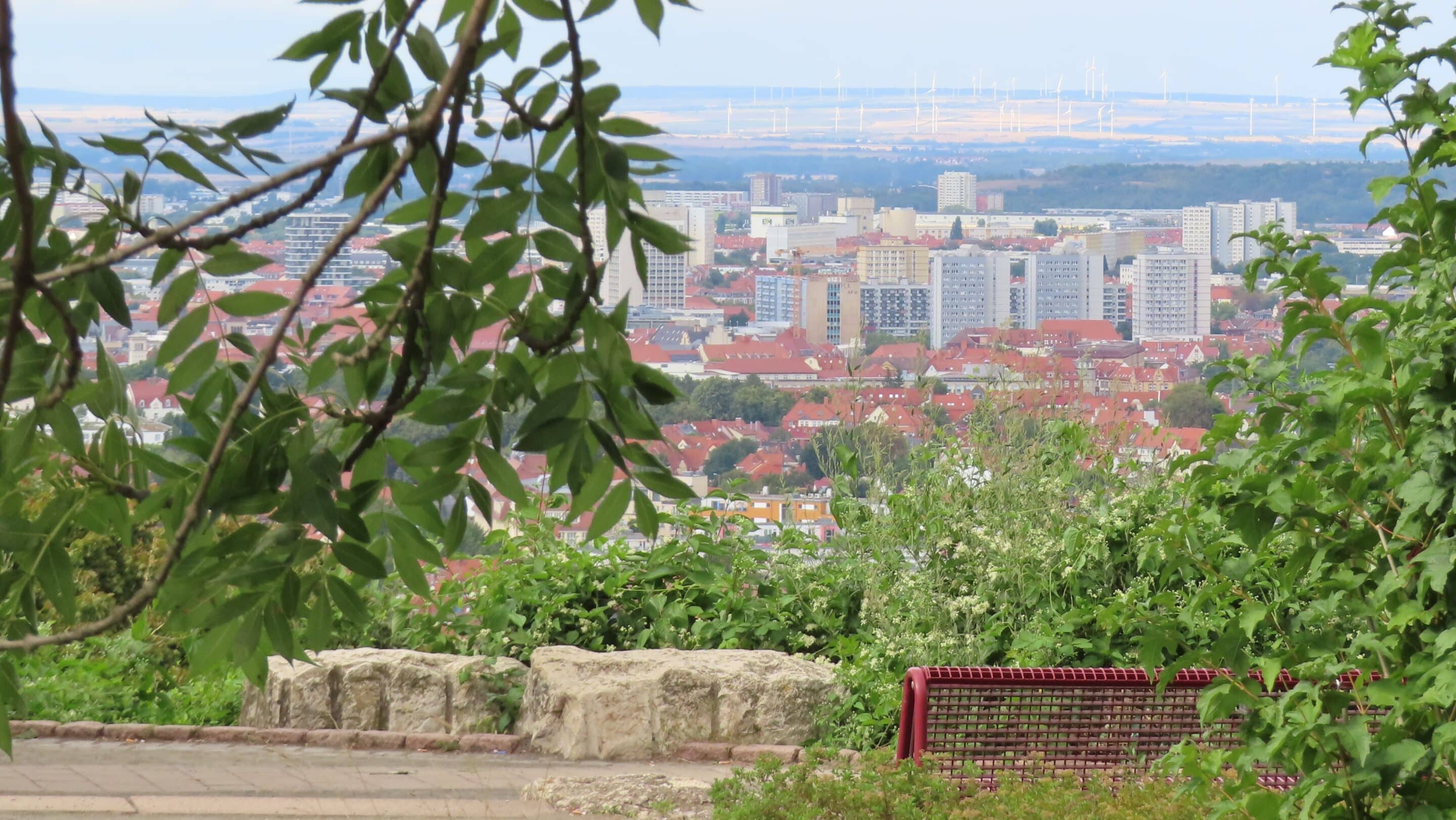 Blick Tannenwäldchen Löbervorstadt Erfurt nach Norden Der Blick vom Aussichtspunkt Tannenwäldchen in der Löbervorstadt über die Stadt Erfurt nach Norden.