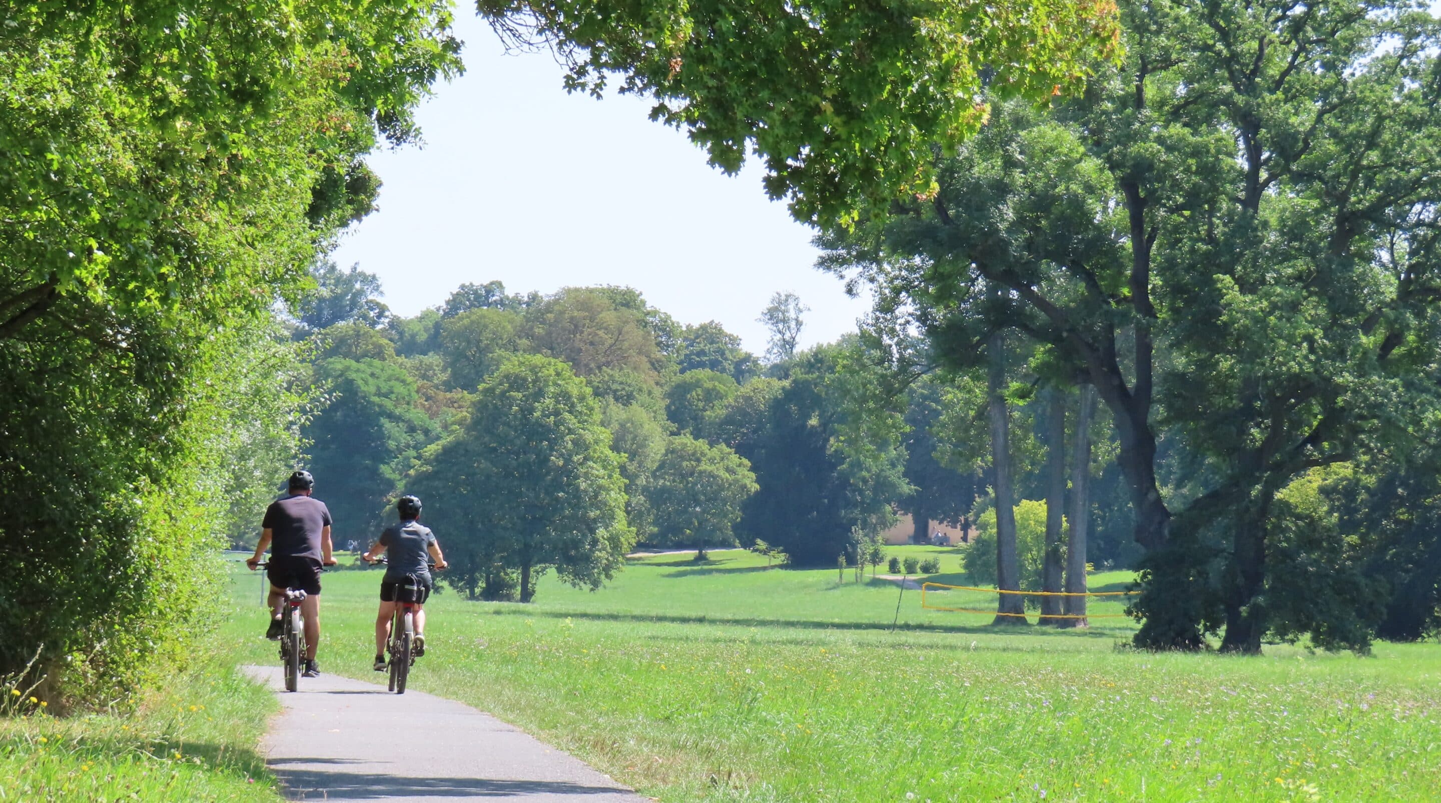 Ilmradweg im Schlosspark Tiefurt Weimar Der Ilmradweg im Schlosspark Tiefurt einem Ortsteil von Weimar.