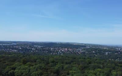 Mountainbike-Fahrer schwer verletzt