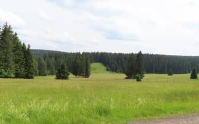 Fachhochschule Erfurt im Thüringer Wald