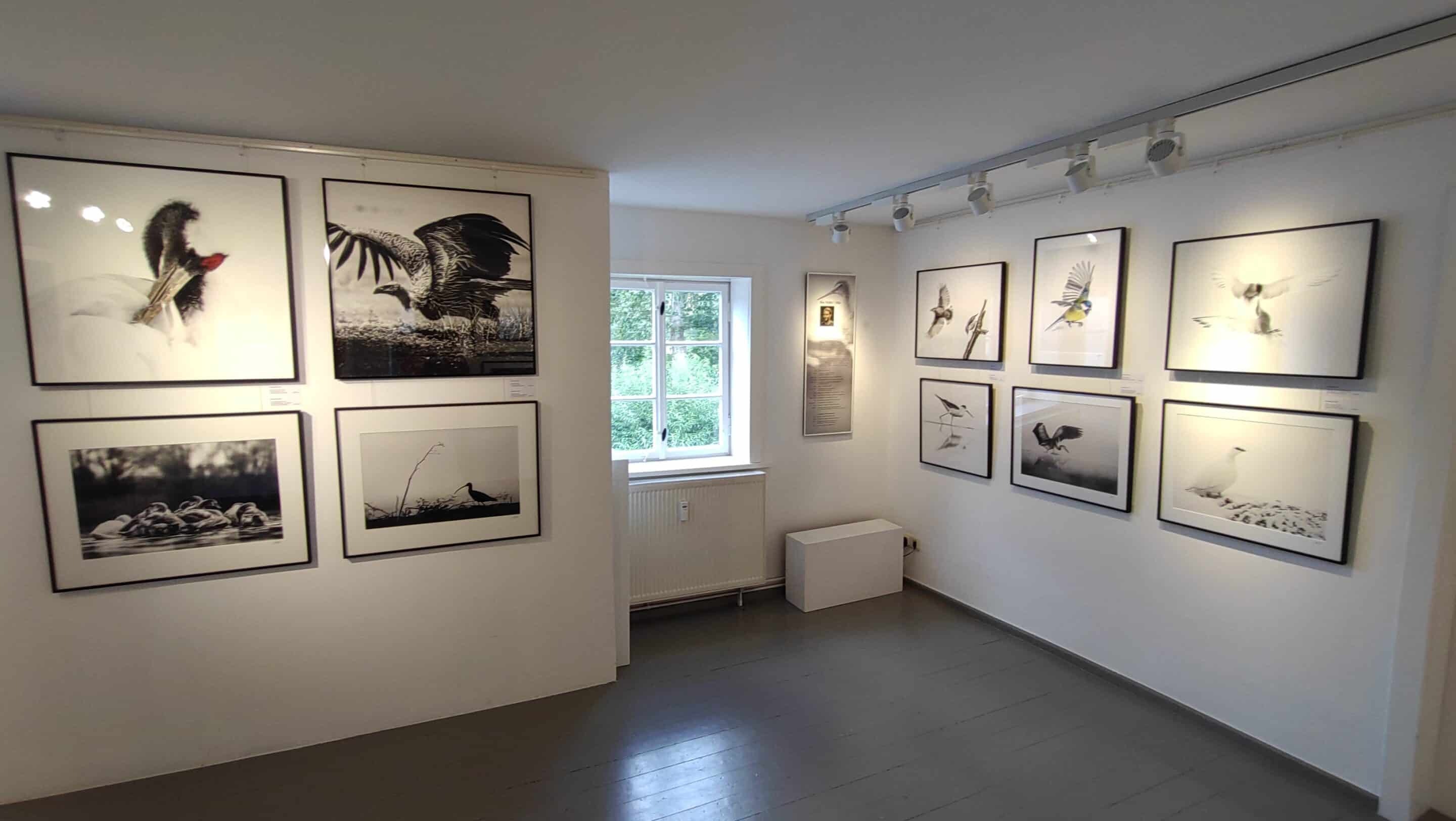 Ausstellung Roy Müller Haus zum Bunten Löwen Krämerbrücke Erfurt Eine Ausstellung von Roy Müller im Haus zum Bunten Löwen auf der Krämerbrücke in Erfurt.