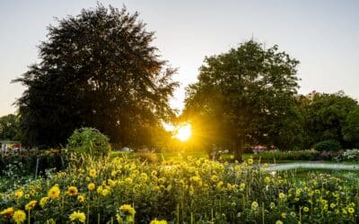 Das Wochenende im egapark zelebriert den Herbstbeginn