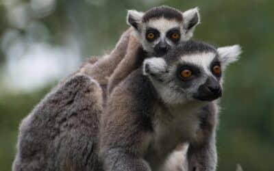 Weltkindertag im Zoopark Erfurt