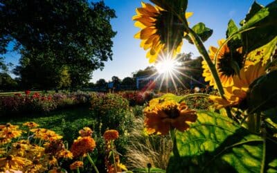 Herbstbeginn im egapark