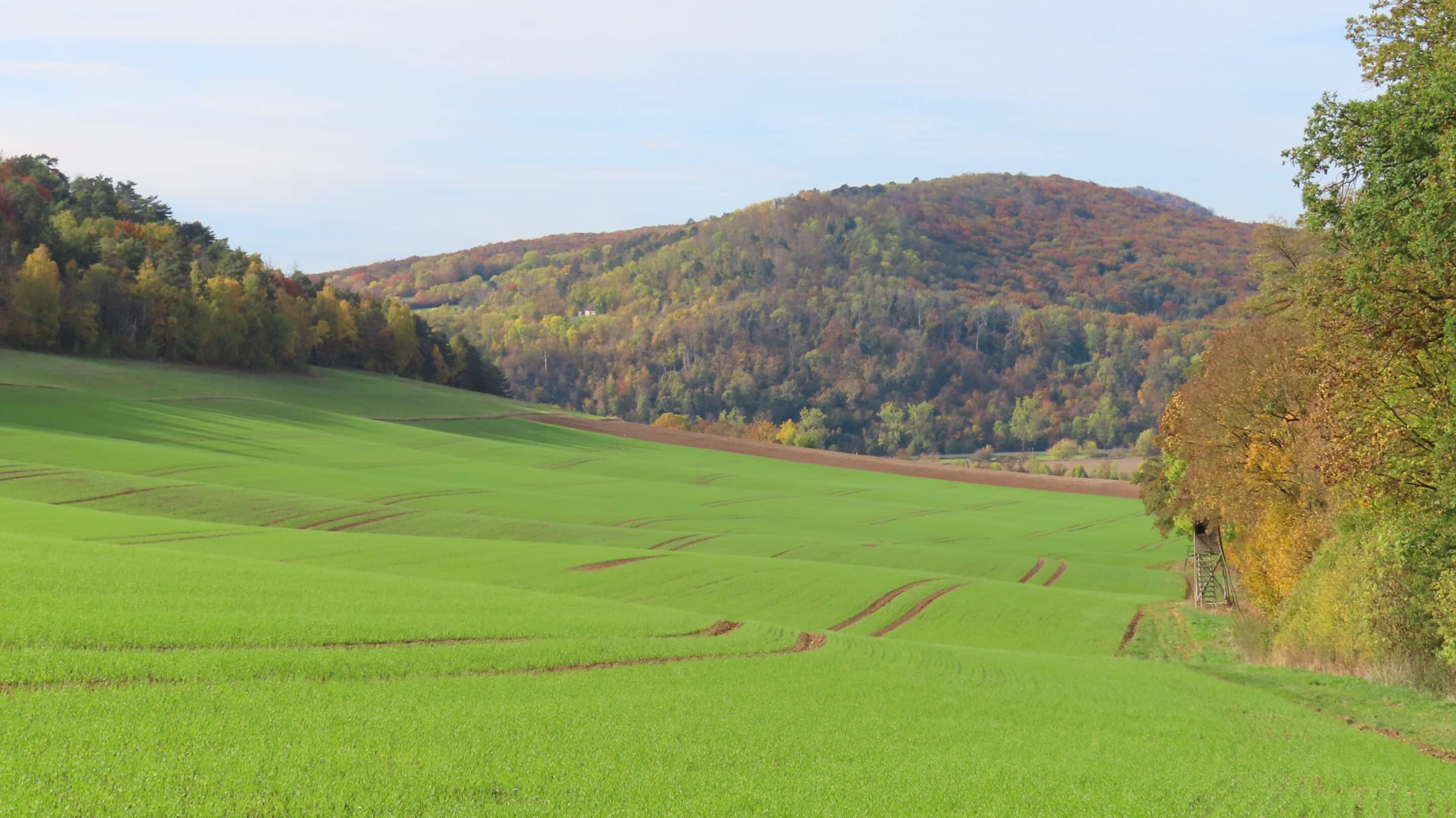 Blick über das Schwanenfeld zur Hainleite bei Sachsenburg Blick über das Schwanenfeld zur Hainleite bei Sachsenburg.