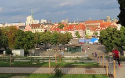 Neue Zebrastreifen für mehr Sicherheit am Domplatz