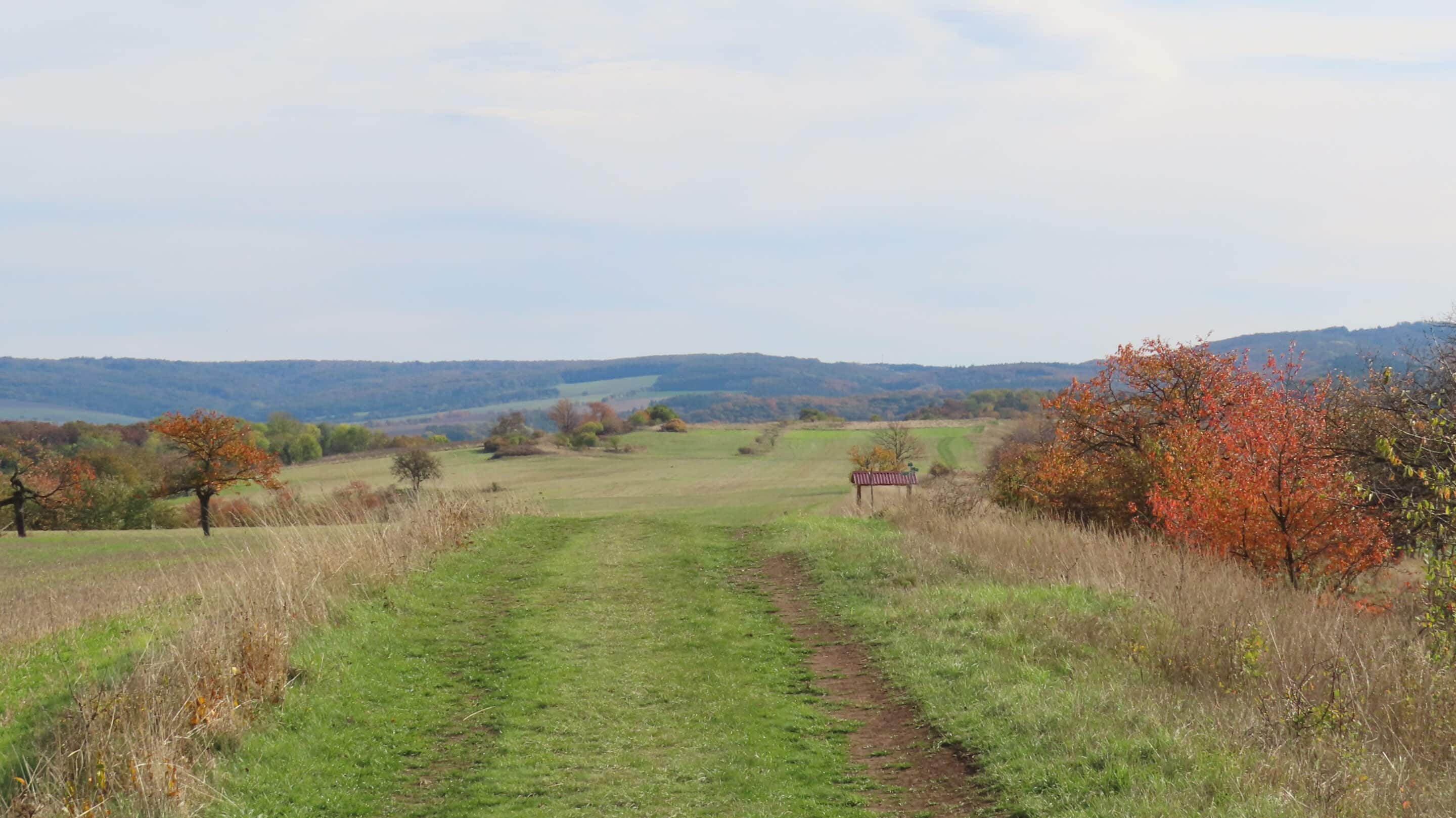 Kahle Schmücke zwischen Harras und Güntherodt Siedlung im Norden von Thüringen Die Kahle Schmücke zwischen Harras und Güntherodt Siedlung im Norden von Thüringen Blick nach Osten.