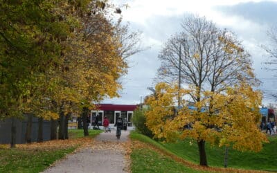 Buntes Farbenspiel im Herbst sorgt für viel Arbeit