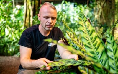 Zimmerpflanzenbörse mit besonderem Angebot im egapark