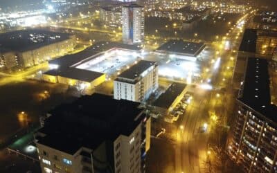 Verirrte Schmierfinken