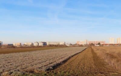 Diebstahlgeschehen beobachtet