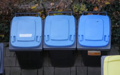 Papiertonne gerät in Brand