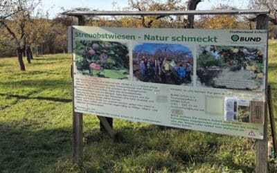 Skulpturen laden ein