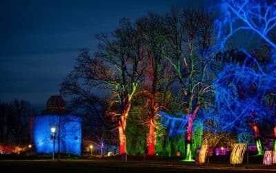 Winterleuchten verzaubert egapark mit Licht und Fantasie