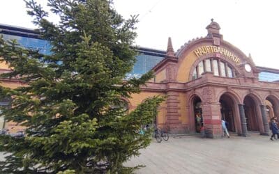 Weihnachtsbaumkauf mit Tücken