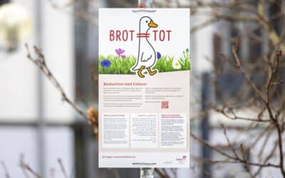 Nur gucken, nicht füttern