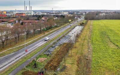 Artenvielfalt in den Ortsteilen