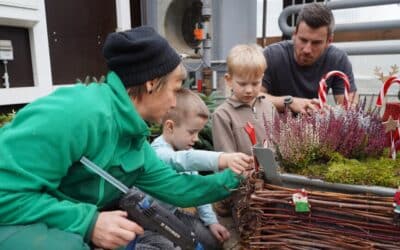 Weihnachtliche Adventsbeete