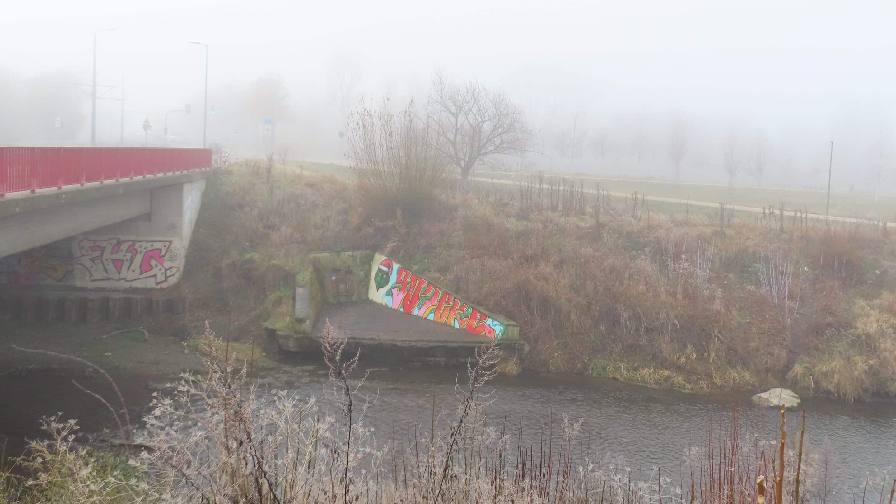 Ein Biberpfad Mitten in Erfurt an der Warschauer Straße zwischen den Stadtteilen Rieth und Berliner Platz.