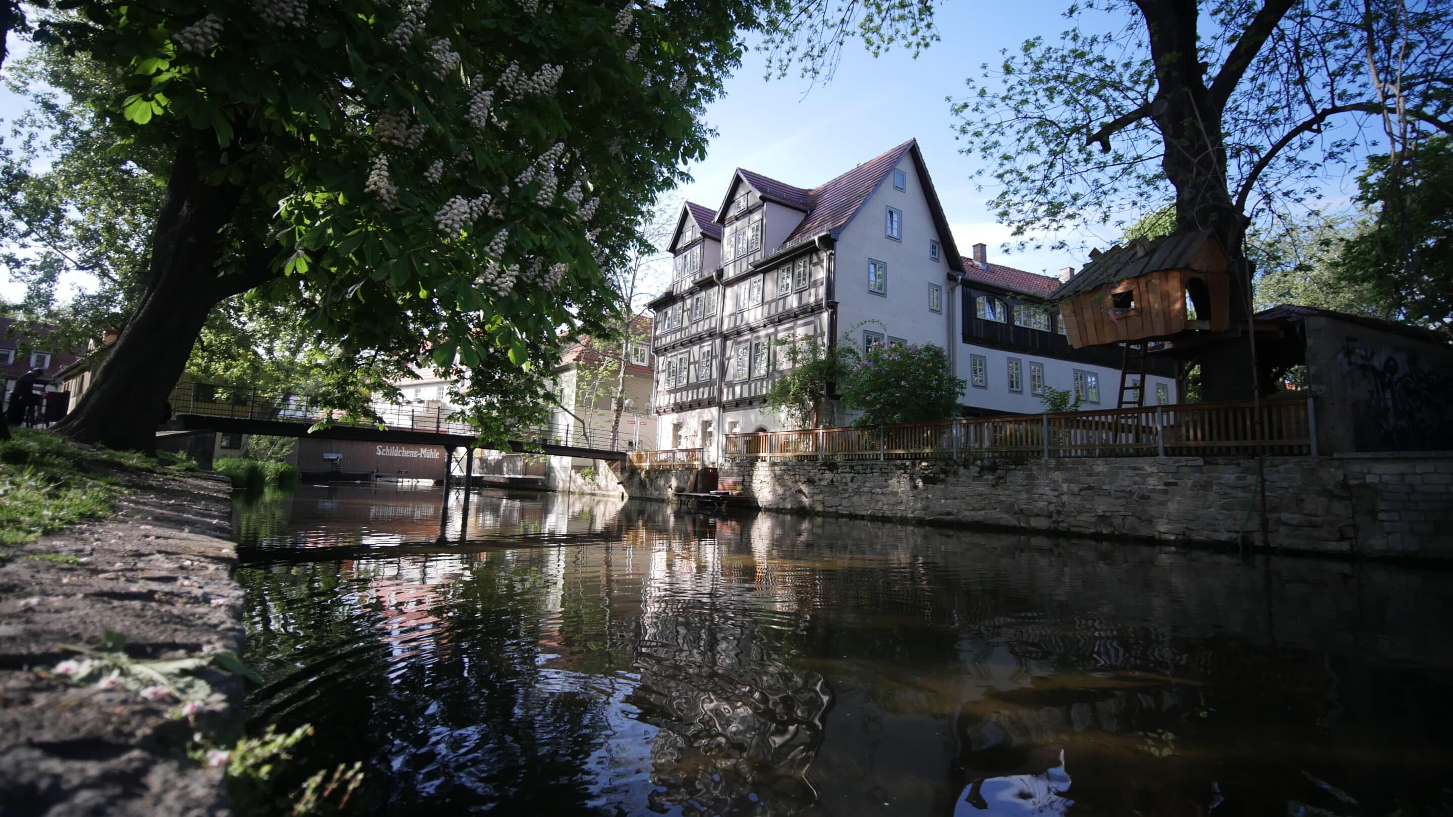Die Gera als Breitstrom in der Altstadt von Erfurt.