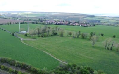 Erst angefahren, dann geflüchtet